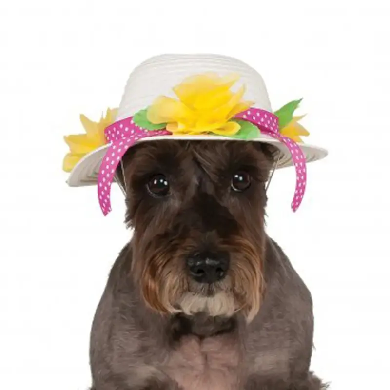Easter Bonnet Dog Hat Small/Medium - Out of Stock!
