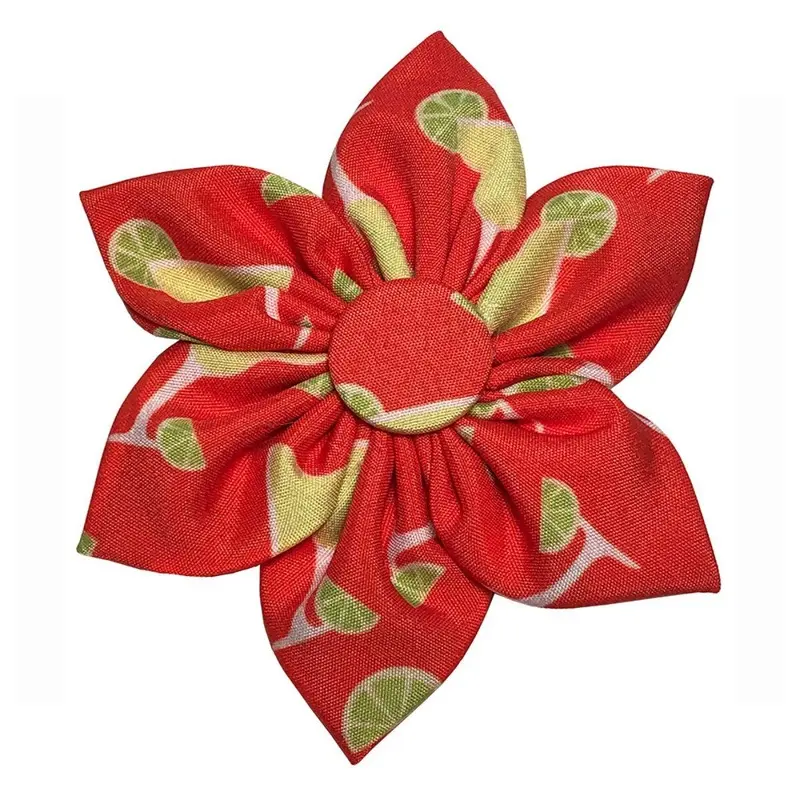 Huxley & Kent Pinwheel Dog Collar Attachment - Margarita Small - 2.5"