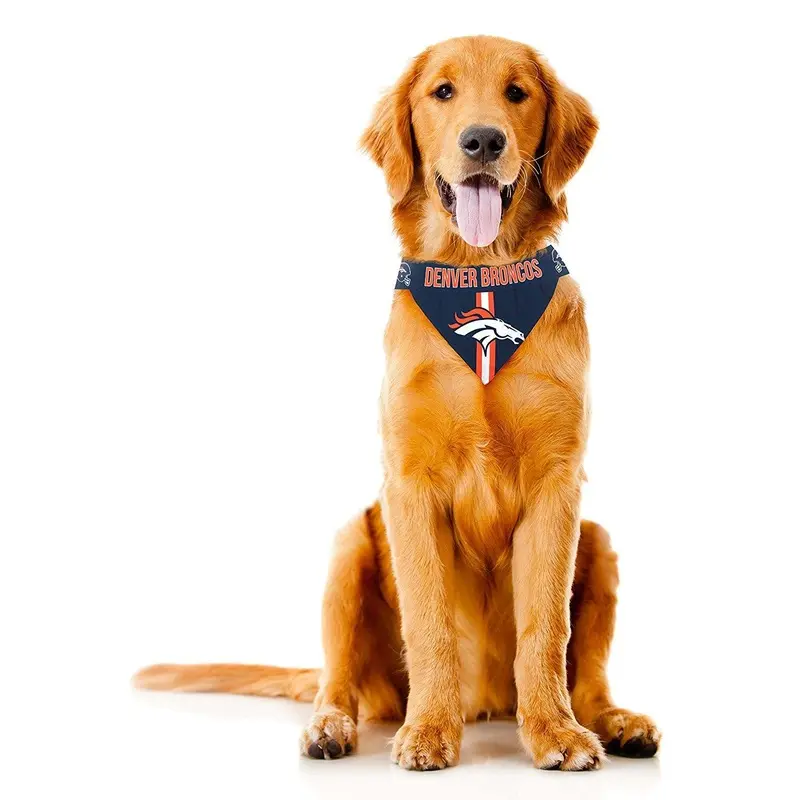 Little Earth Denver Broncos Tie On Dog Bandana Small