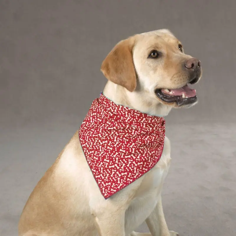 Aria Blue Ribbon Bone Dog Bandana - Red