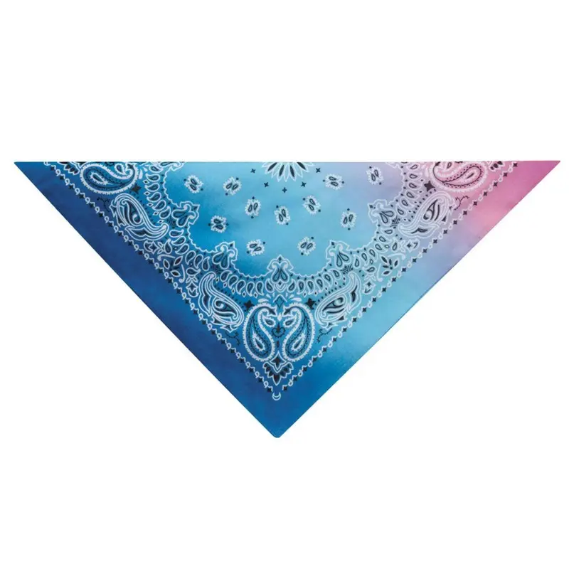 Aria Classic Paisley Dog Bandana - Pink/Blue 19" Square - Out of Stock!