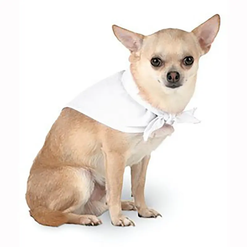 Blank Dog Bandana - White One Size - Out of Stock!