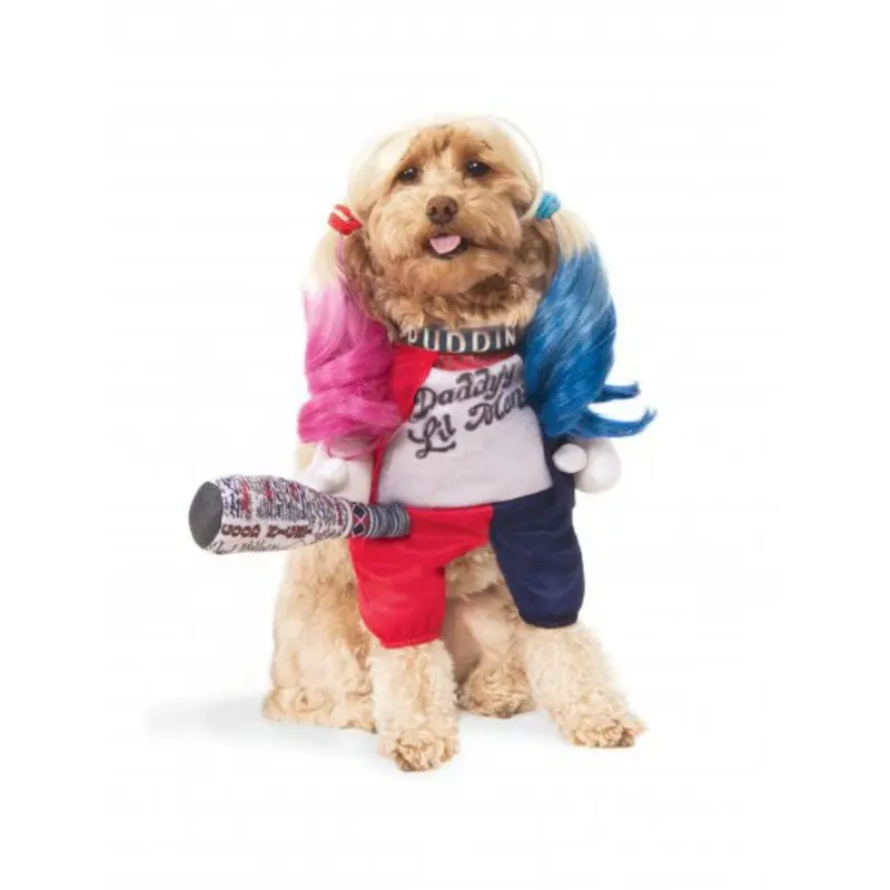 DC Comics Harley Quinn Walking Dog Costume by Rubies Small - Out of Stock!