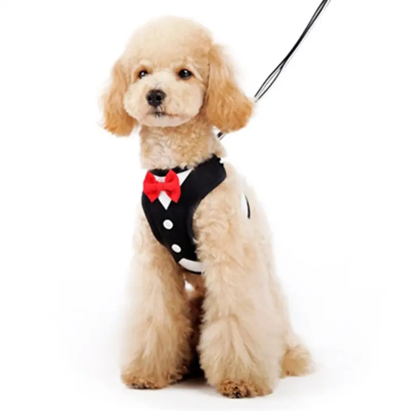 EasyGo Bowtie Dog Harness by Dogo -  Black X-Small - Out of Stock!