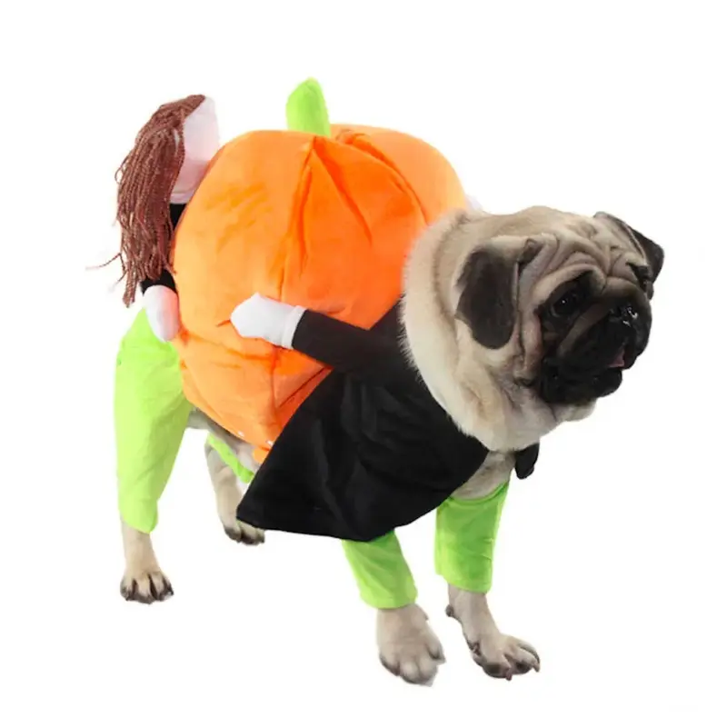 Pet Life Pumpkin Mon Halloween Pet Dog Costume X-Small - Free Shipping!