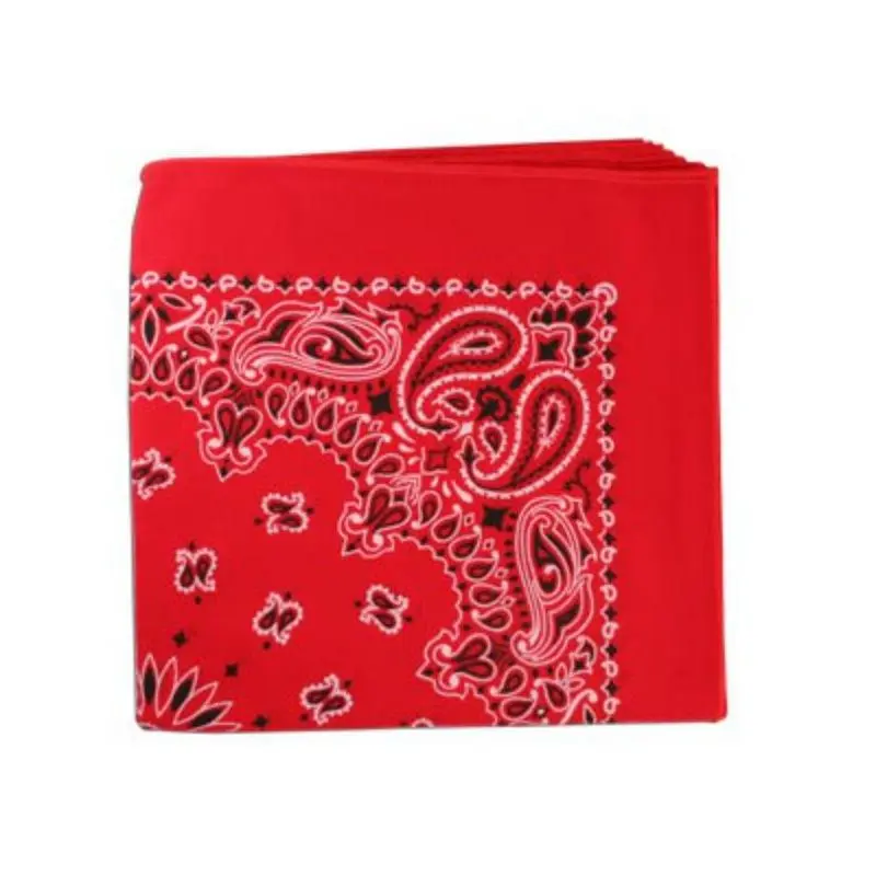 Top Performance Classic Paisley Dog Bandana - Red
