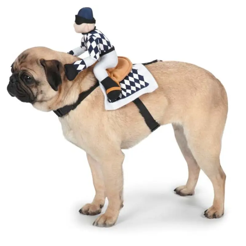 Zack & Zoey Show Jockey Saddle Dog Costume Small - Out of Stock!