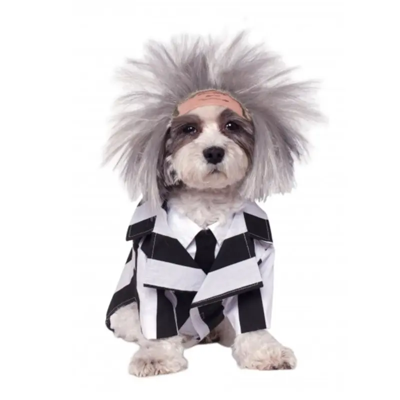 Beetlejuice Dog Costume Small