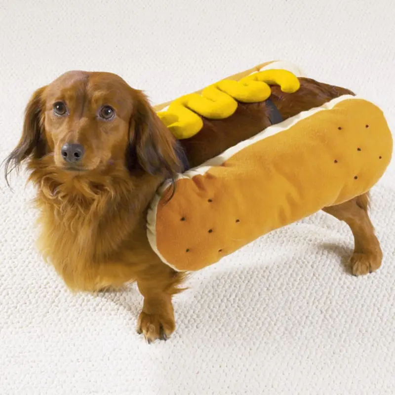 Casual Canine Hot Dog with Mustard Dog Halloween Costume Small