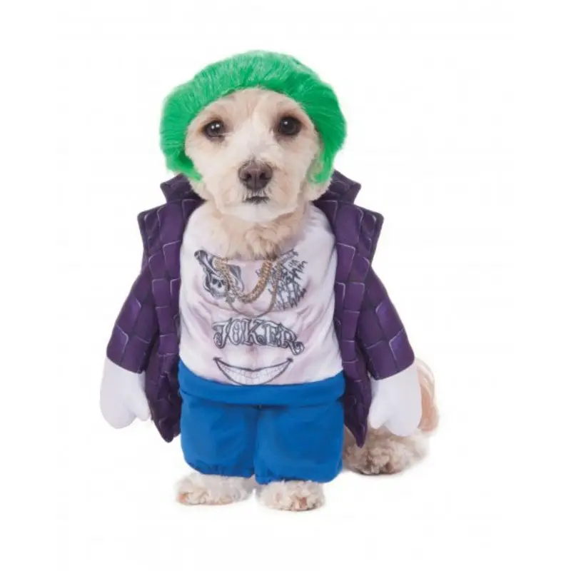 DC Comics The Joker Walking Dog Costume by Rubies Small