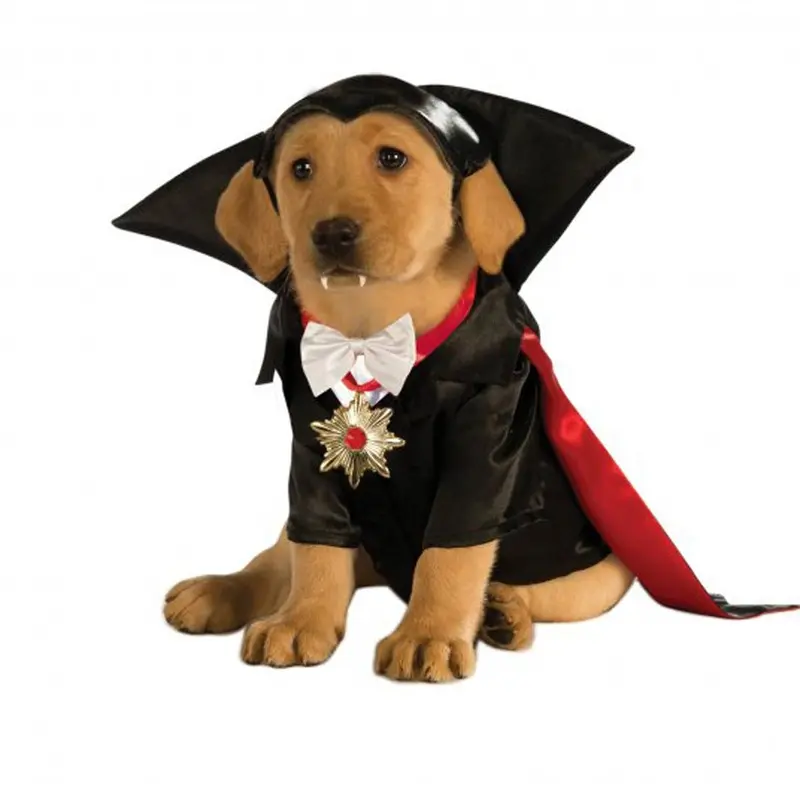 Halloween Dracula Dog Costume Small - Out of Stock!