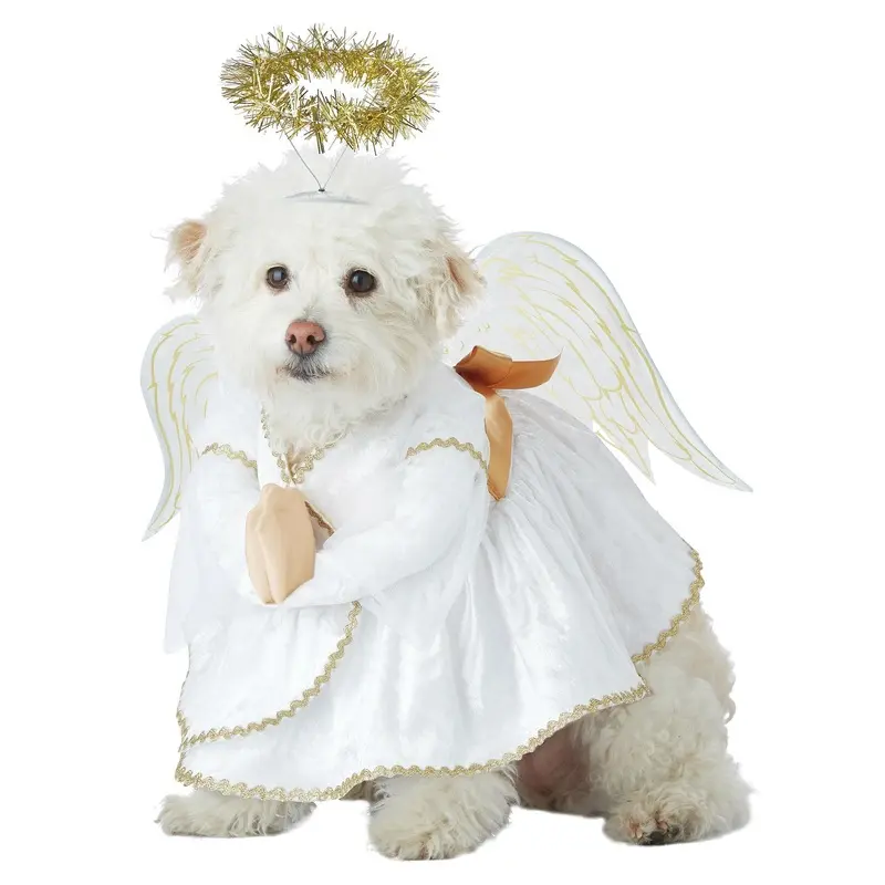Heavenly Hound Halloween Dog Costume X-Small