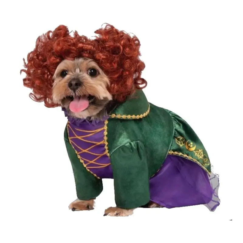 Hocus Pocus Winifred Sanderson Dog Costume by Rubie's Small