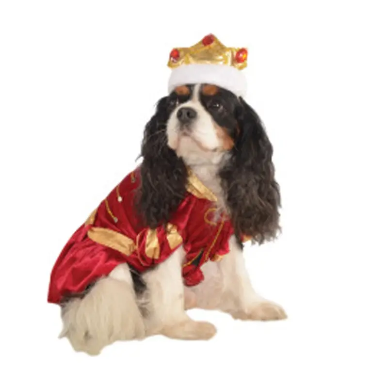 Kanine King Halloween Dog Costume Small - Out of Stock!