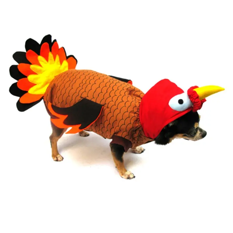 Puppe Love Turkey Dog Costume Size 0