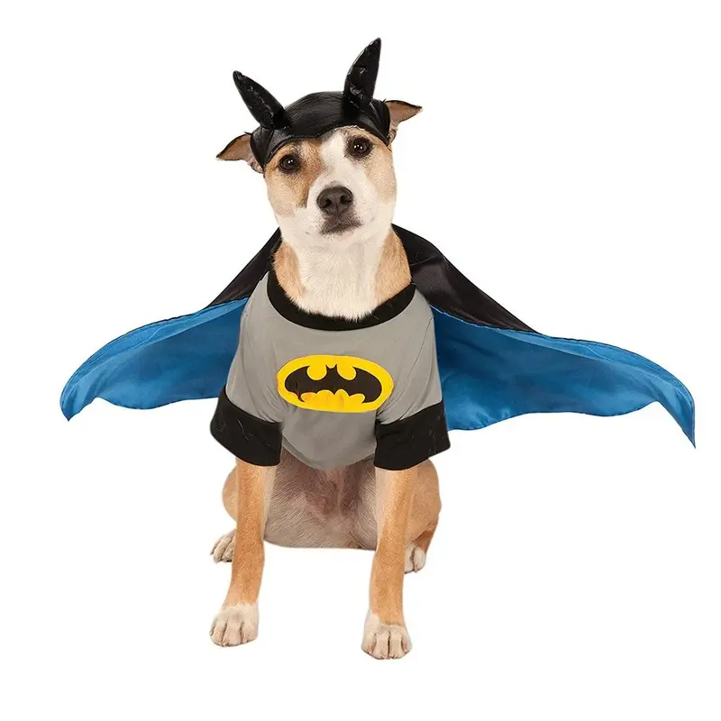 Rubie's DC Batman Dog Halloween Costume Small - Out of Stock!