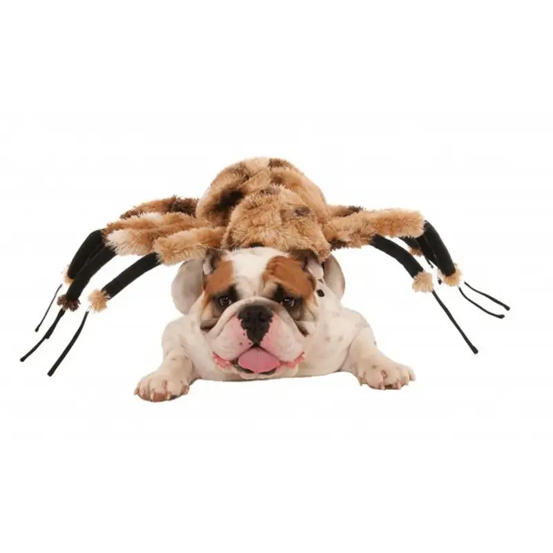 Rubie's Giant Spider Dog Costume Small