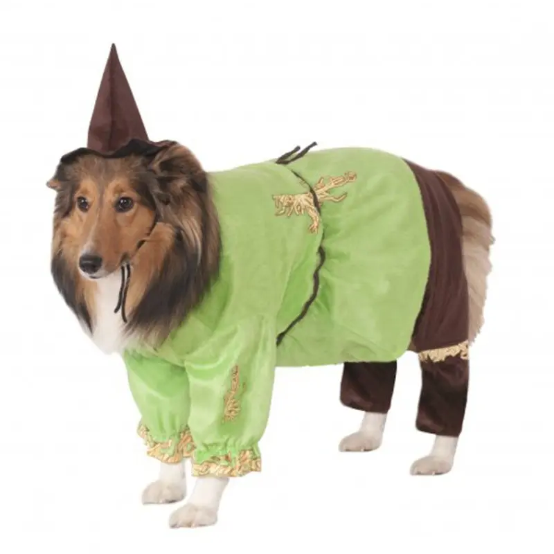 Wizard of Oz Scarecrow Dog Halloween Costume Small - Out of Stock!