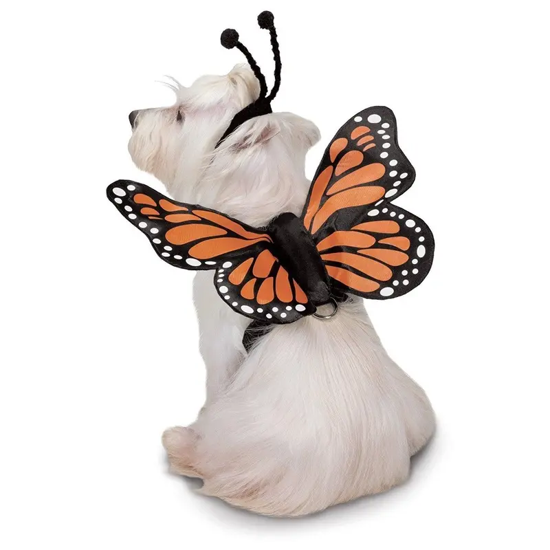 Zack and Zoey Butterfly Glow Wings Dog Harness Costume Small - Out of Stock!
