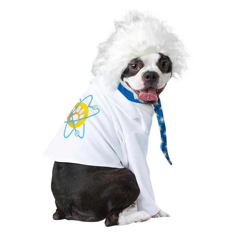 Al-Bark Einstein Dog Costume Medium