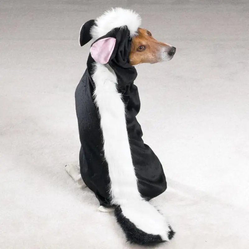 Casual Canine Lil' Stinker Skunk Dog Halloween Costume X-Small