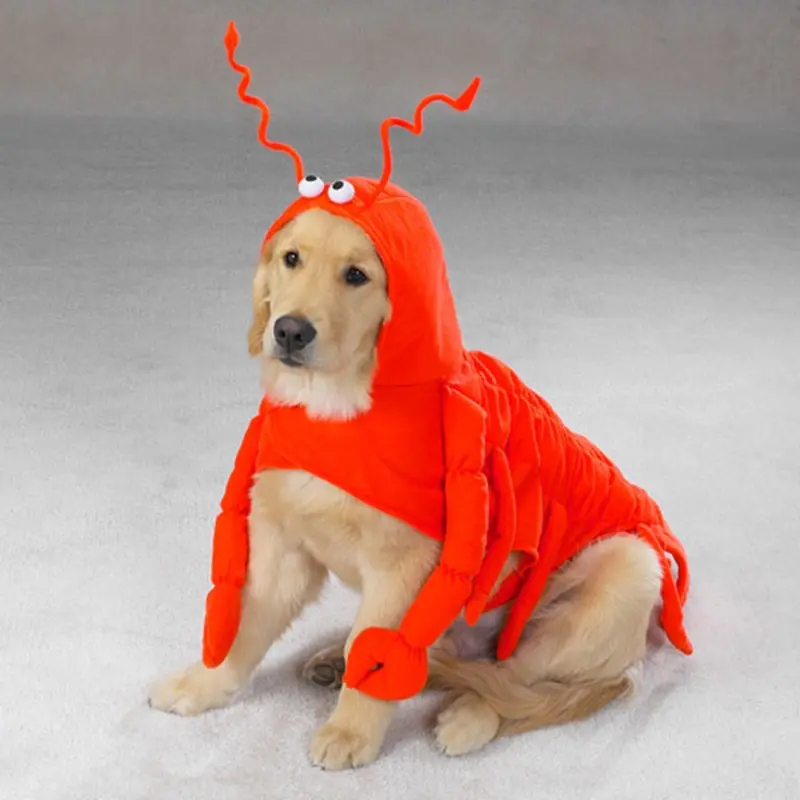 Casual Canine Lobster Dog Halloween Costume Small