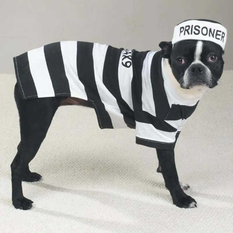 Casual Canine Prisoner Dog Halloween Costume X-Small