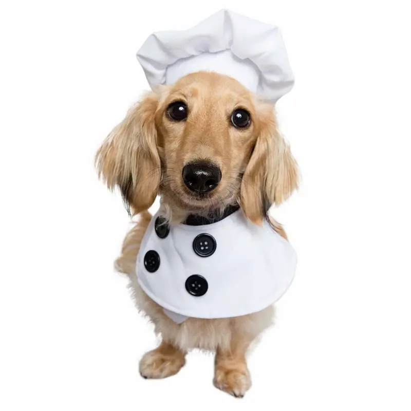 Pet Krewe Chef Uniform Costume for Dogs Small/Medium - Out of Stock!