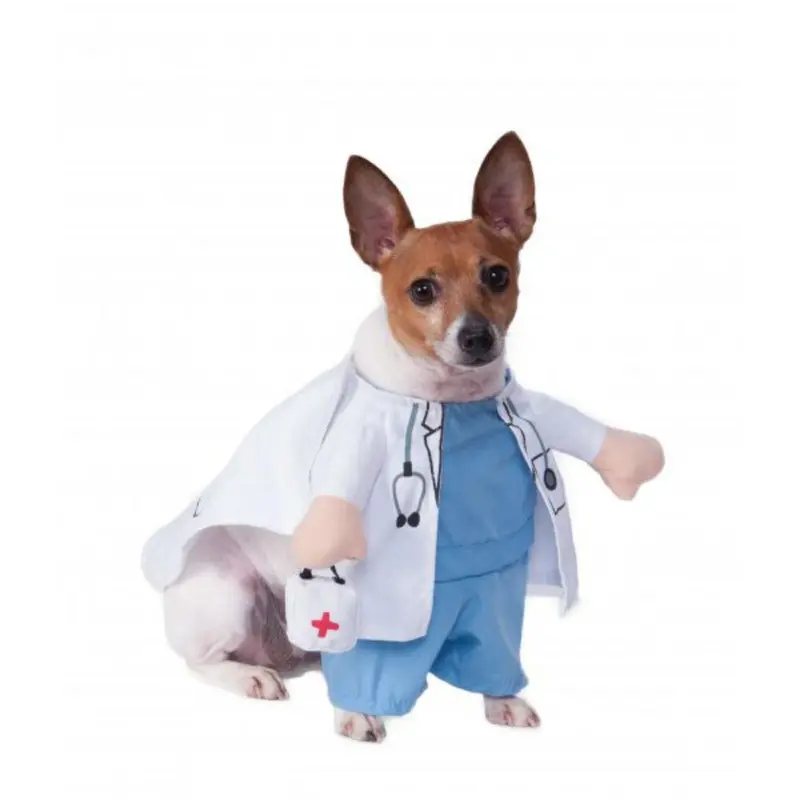 Rubies Walking Vet Dog Costume Small
