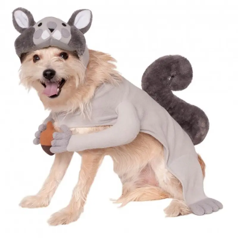 Squirrel Dog Costume Small - Out of Stock!