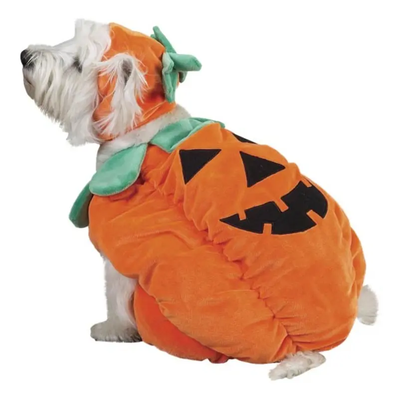 Zack & Zoey Pumpkin Pooch Dog Costume X-Small