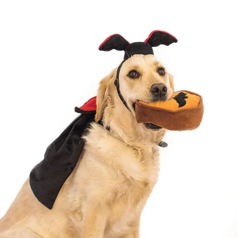 ZippyPaws Halloween Dracula Dog Costume