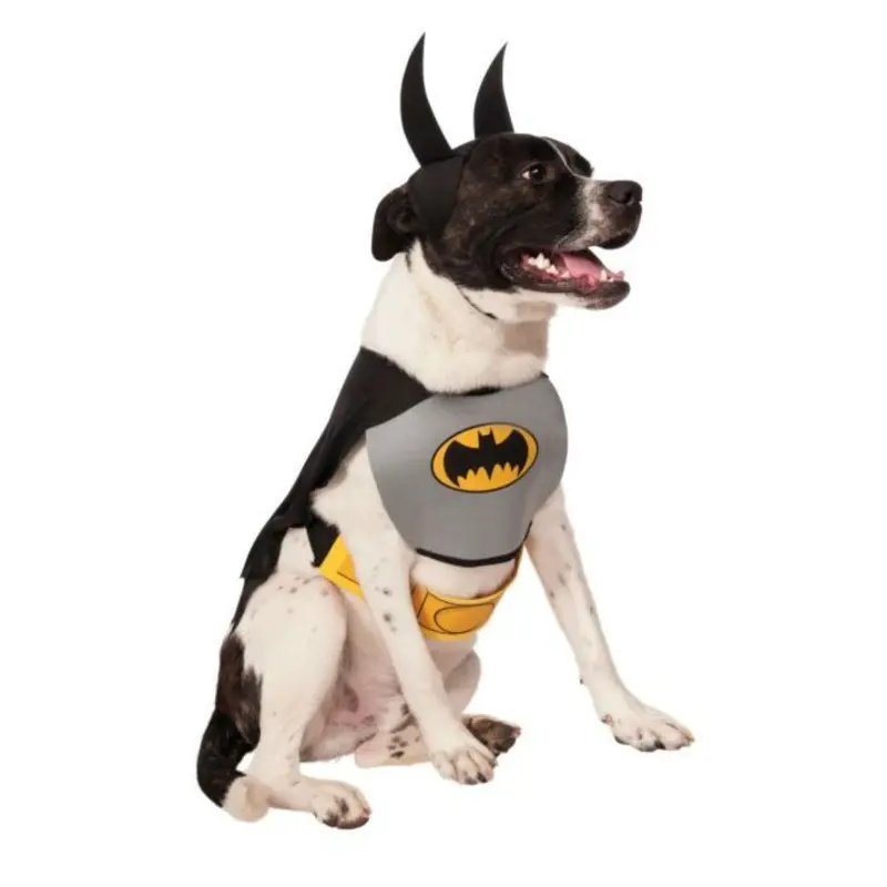 Classic Batman Dog Halloween Costume - Gray Small - Out of Stock!