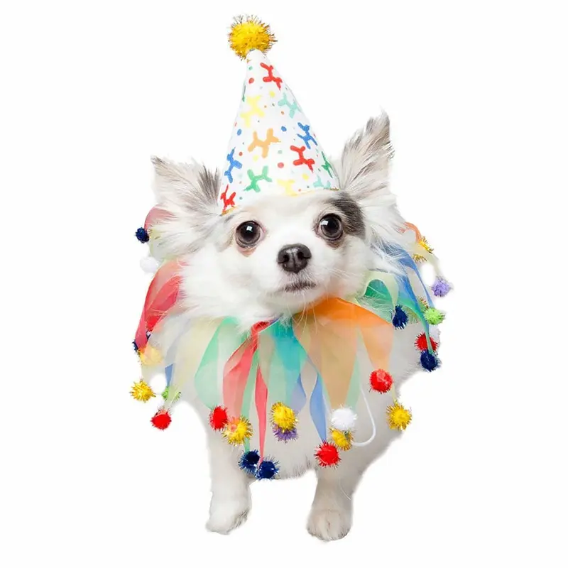 Pet Krewe Celebration Dog Hat & Collar Set Small/Medium - Out of Stock!
