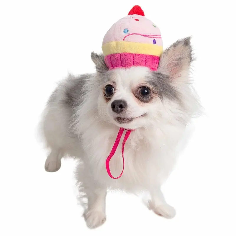 Pet Krewe Cupcake Pet Hat