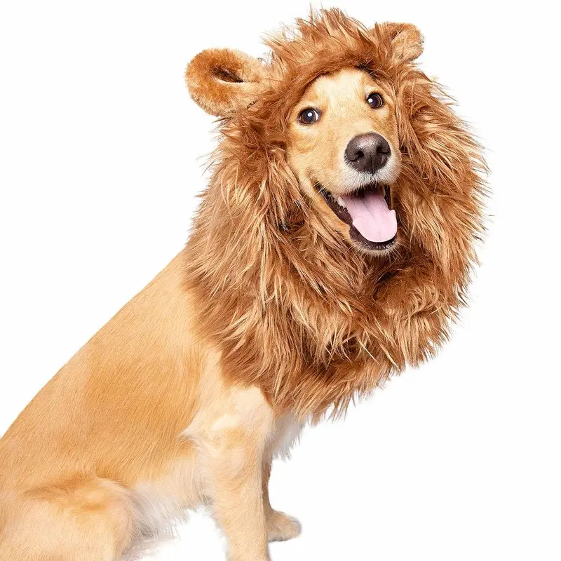 Pet Krewe Lion Mane Costume with Ears - Medium and Large Dogs One Size - Out of Stock!