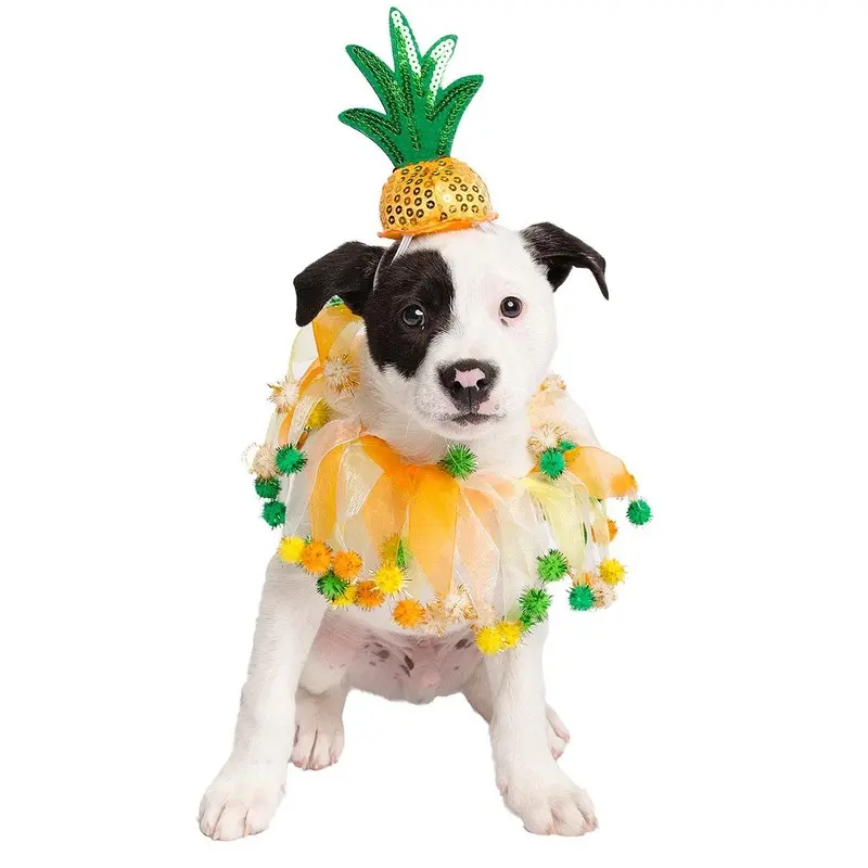 Pet Krewe Pineapple Hat & Collar Dog Costume Small/Medium