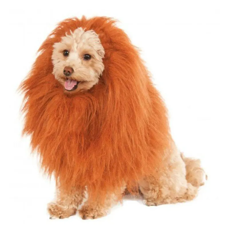 Rubies Deluxe Lion's Mane Dog Costume One Size - Out of Stock!