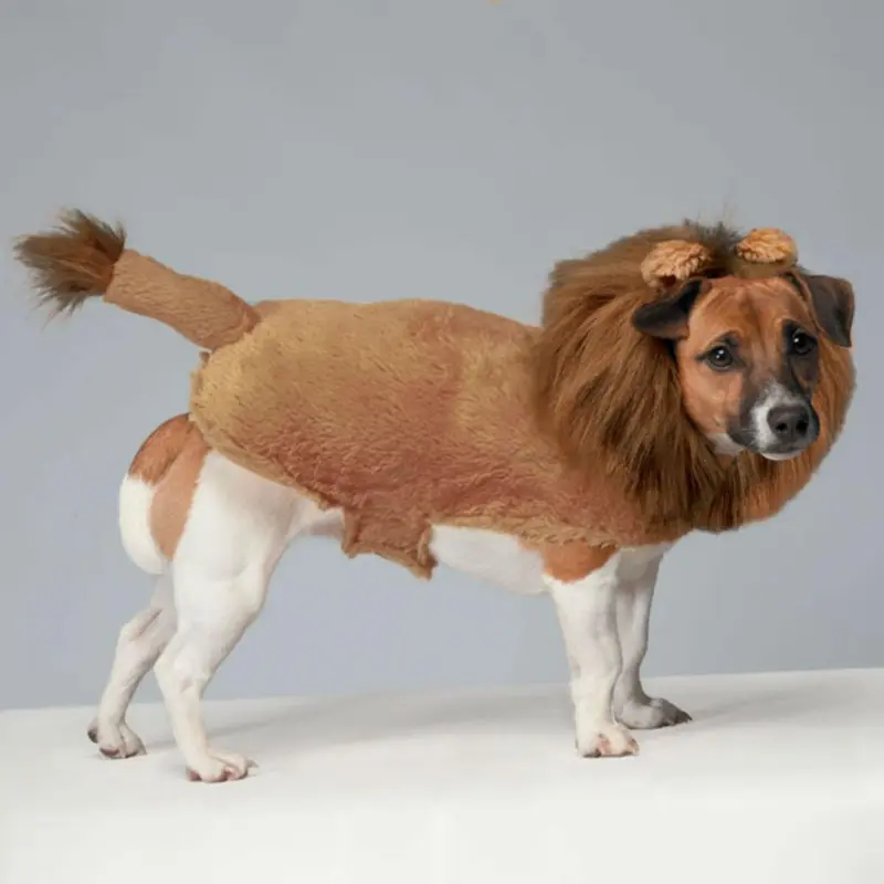 Zack & Zoey Fuzzy Lion Dog Costume X-Small