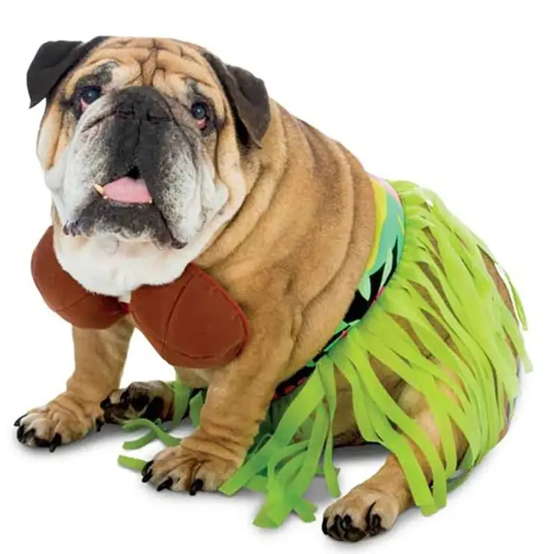 Zelda Hula Halloween Dog Costume X-Small