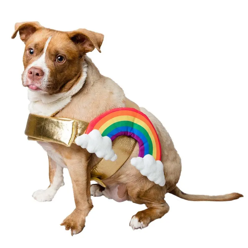 Pet Krewe Rainbow Dog Costume Small
