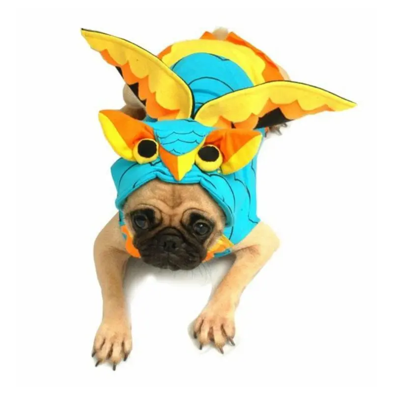 Puppe Love Colorful Owl Dog Costume Size 4