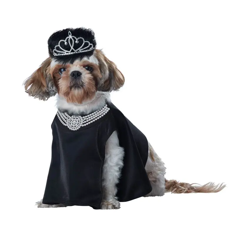Barkfest at Sniffany's Dog Costume X-Small