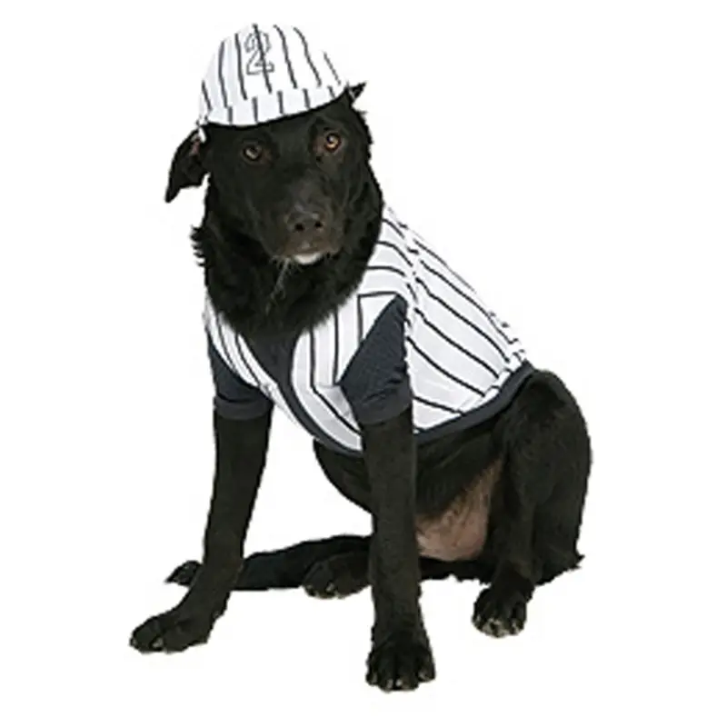 Baseball Player Dog Costume Small