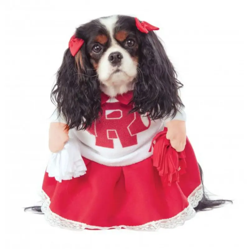 Grease Walking Rydell High Cheerleader Dog Costume by Rubies X-Small