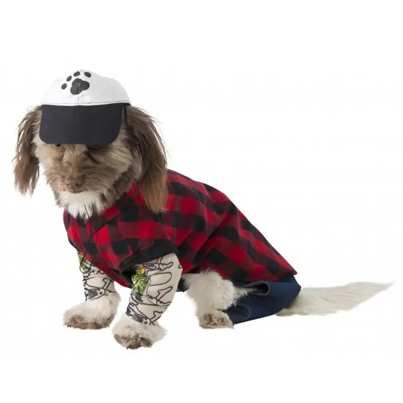 Hipster Dog Costume Large