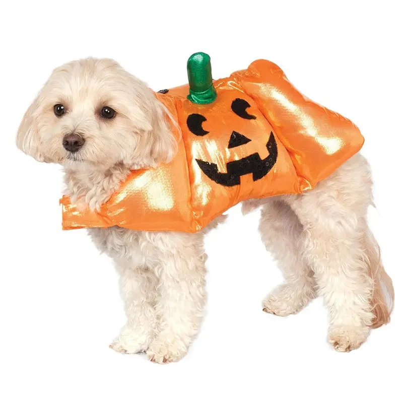 Pup-O-Lantern Halloween Dog Costume Small