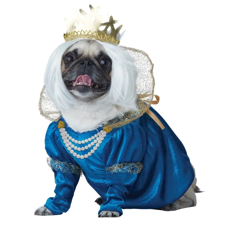 Queen of Bones Dog Costume X-Small