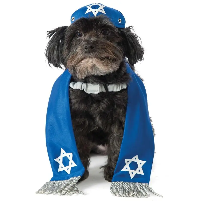 Rubies Yarmulke and Tallis Dog Costume Small/Medium - Out of Stock!