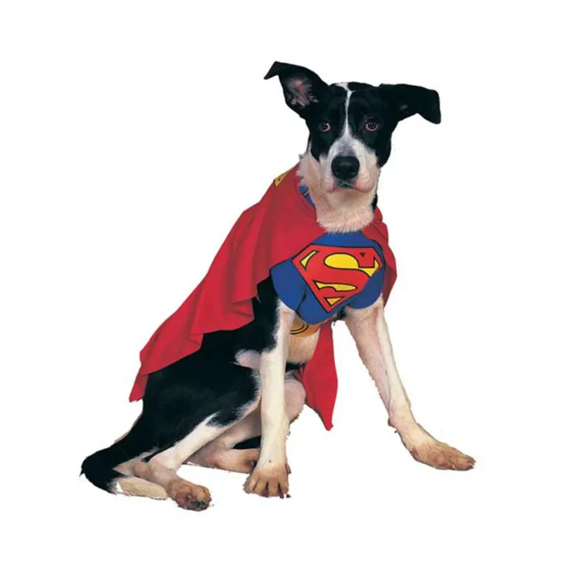Superman Dog Halloween Costume Small